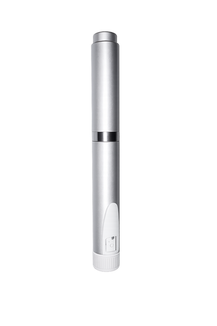 SILVER PEN
